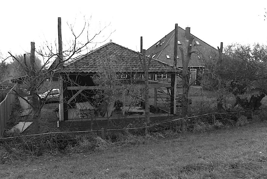 nieuwbouw boerderij in Driehuizen